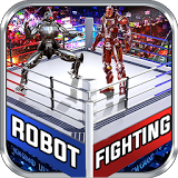  Real Robot Ring Fighting