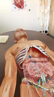 Скриншот Human Anatomy Atlas 2020: Complete 3D Human Body