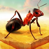 Иконка Little Ant Colony