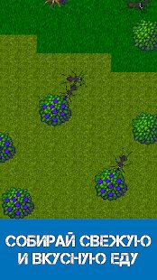 Скриншот Ant Evolution - симулятор муравей