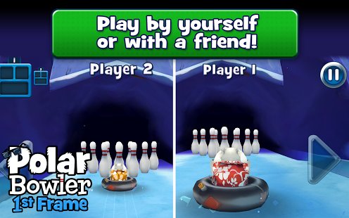  Polar Bowler